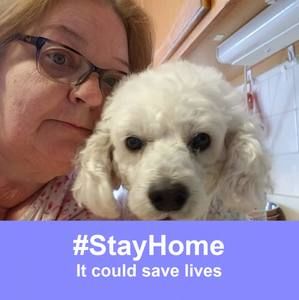 Meet your Posher, Carol